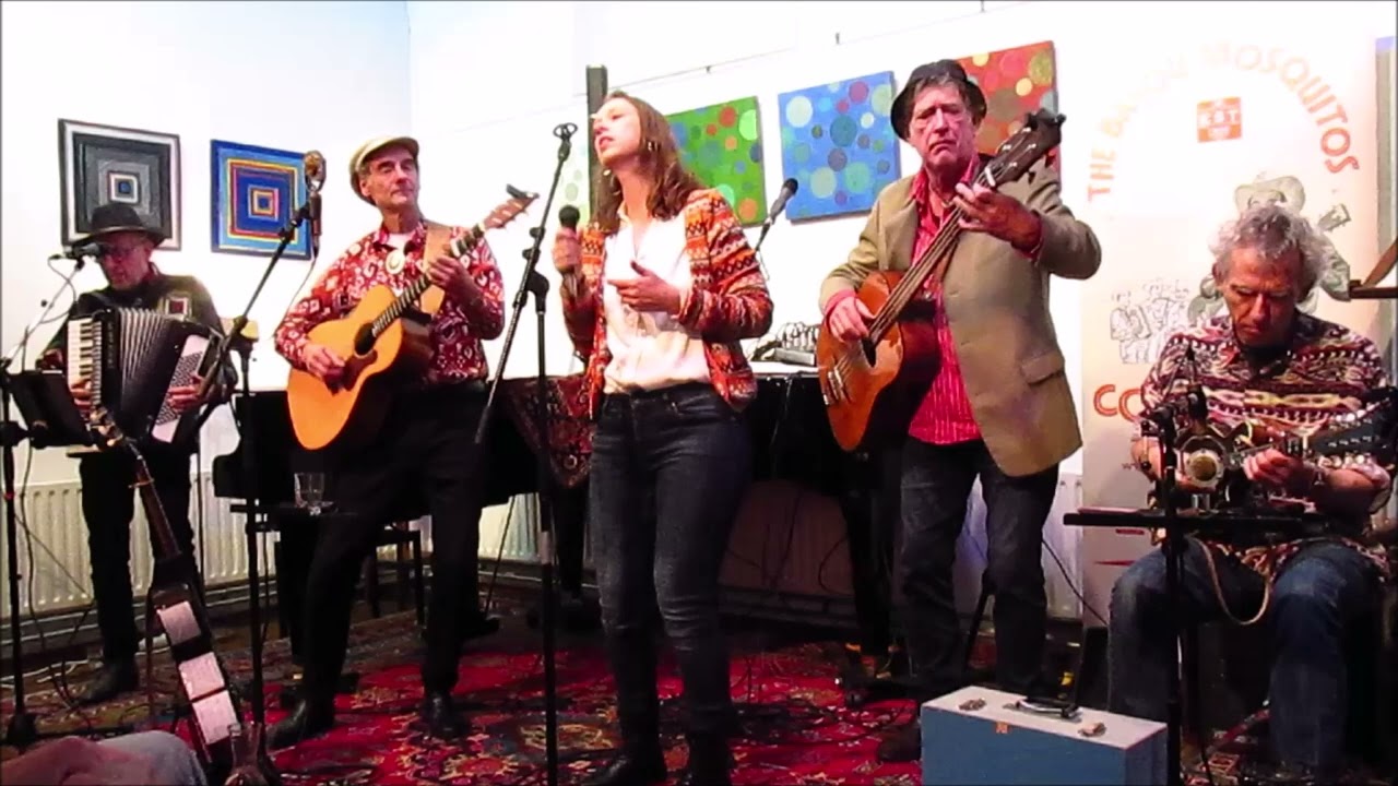 The Bayou Mosquitos and Jerney Kate - Home