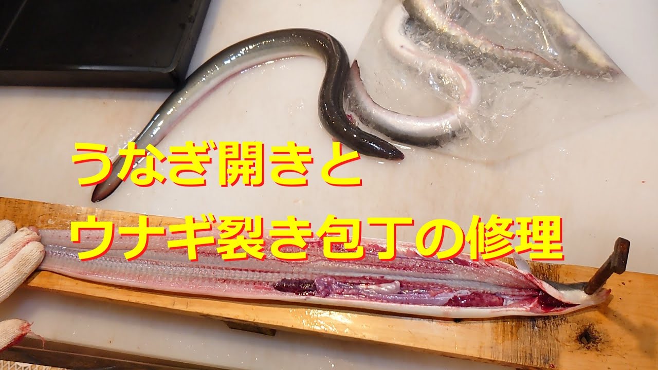 ウナギの開き方とウナギ裂き包丁を修理しました。