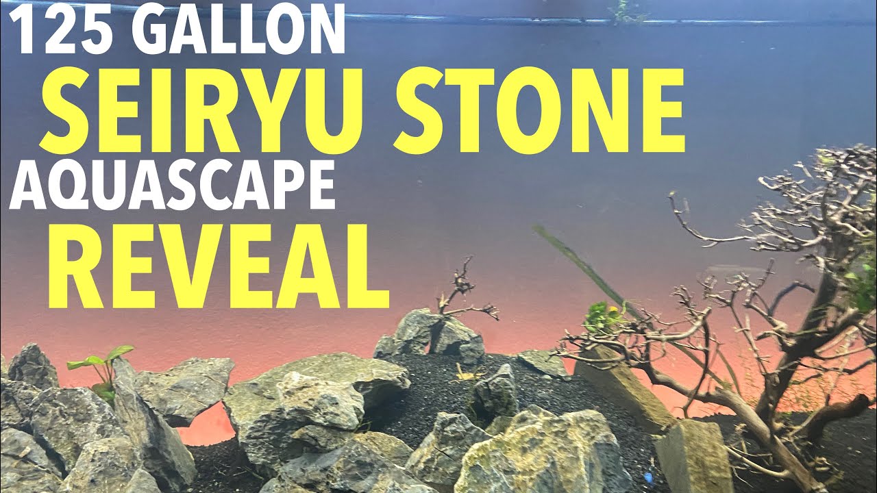 Seiryu Stone | How to Aquascape a 125 gallon Aquarium