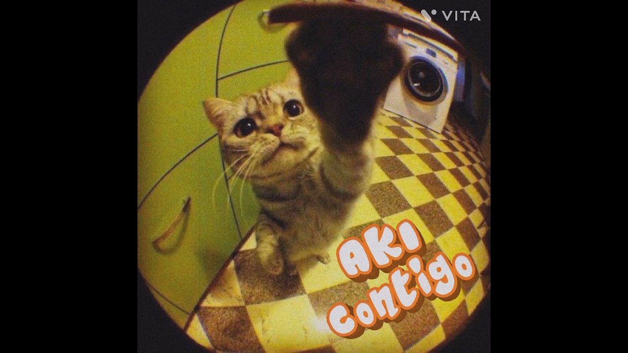 skipi - aki contigo feat kenovii and saikowan