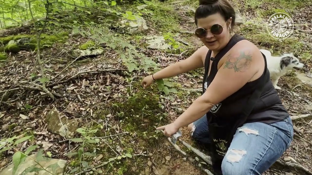 May Mushroom Huntin’
