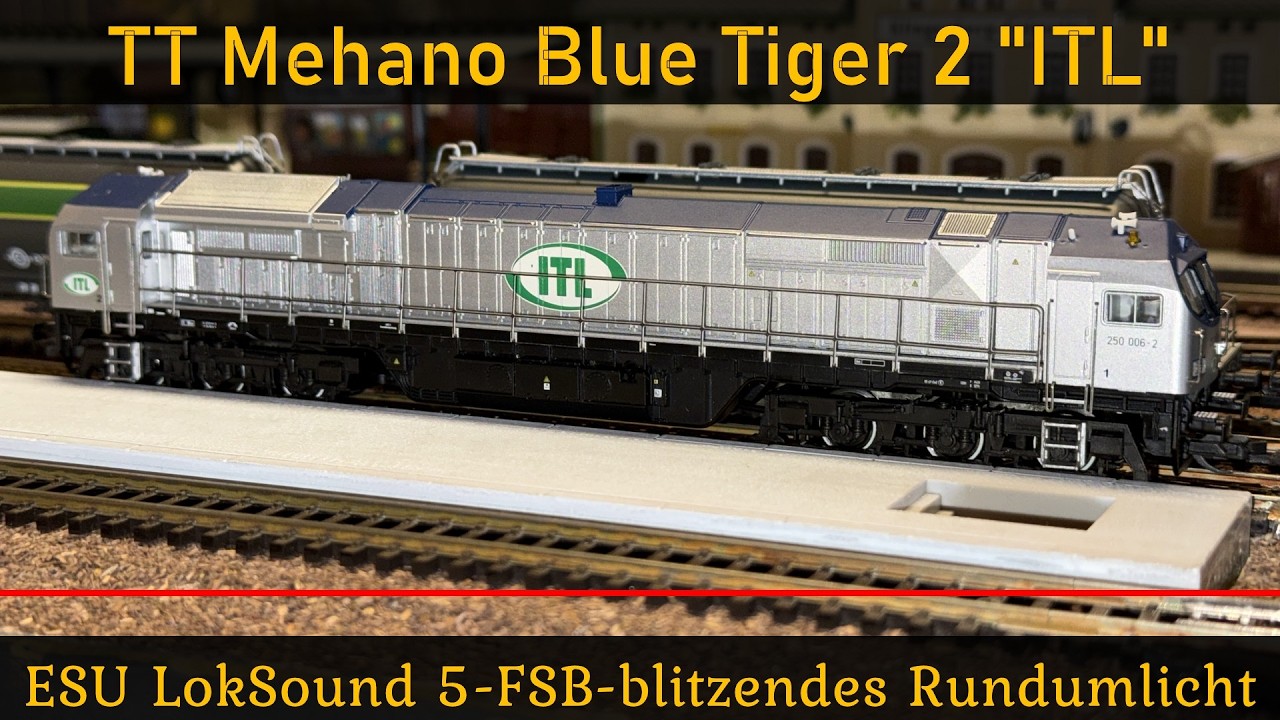 34/3# TT Mehano Blue Tiger 2 