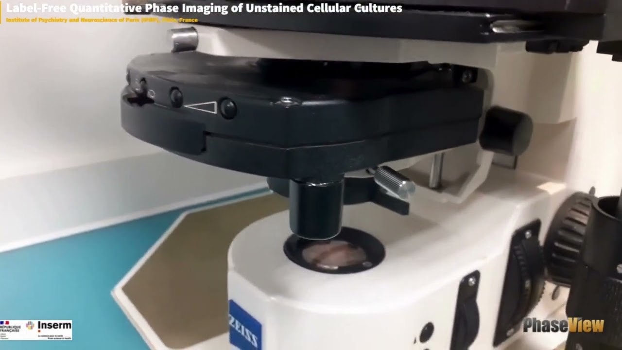 PHASEVIEW LABEL-FREE IMAGING OF CELL CULTURES