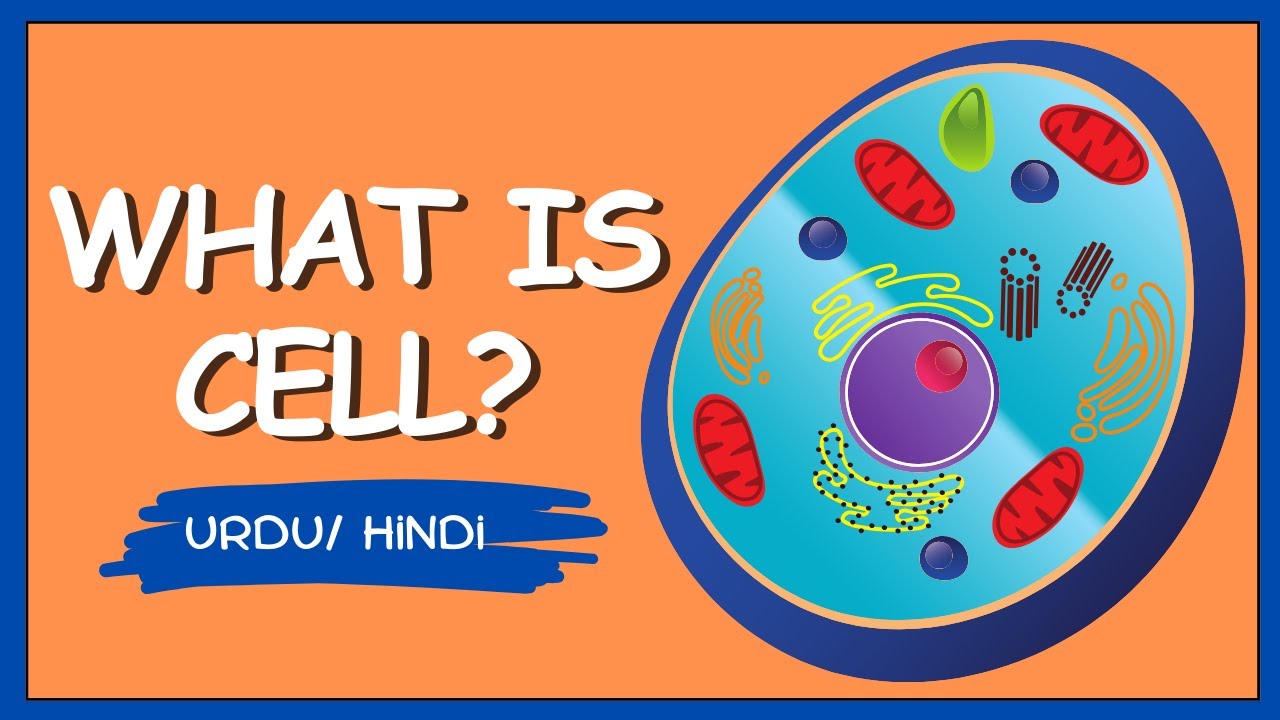 What is Cell in Urdu - Hindi