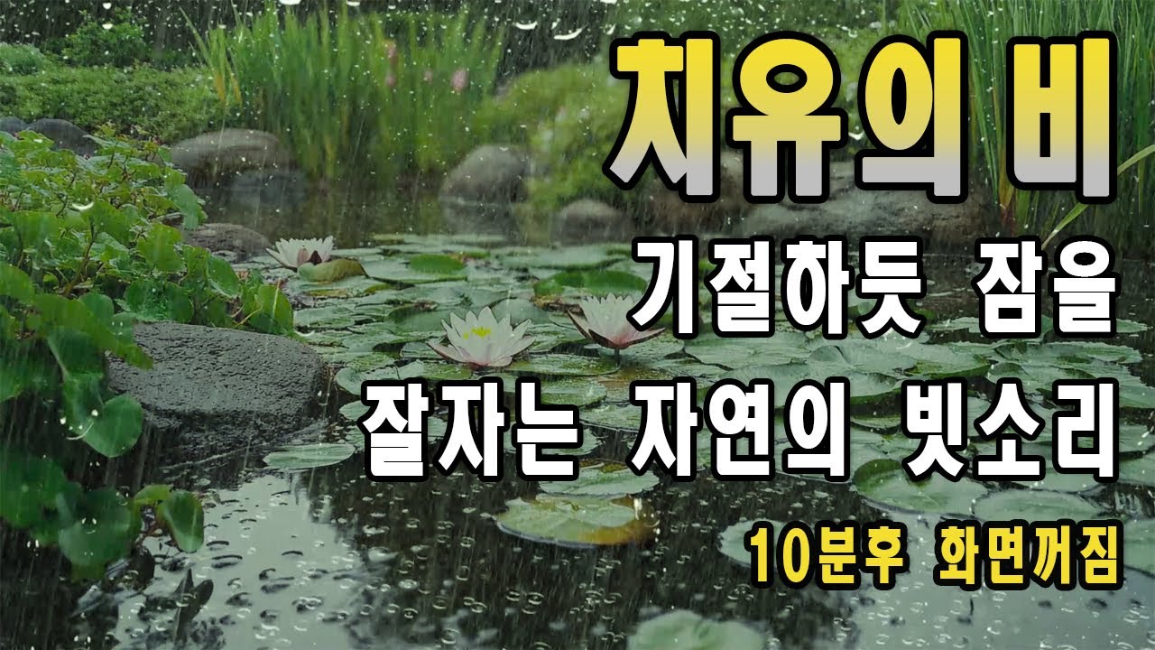 수련꽃 피어난 연못의 편안한 빗소리/ 잠 잘 오는 빗소리/ 10분후 화면꺼짐