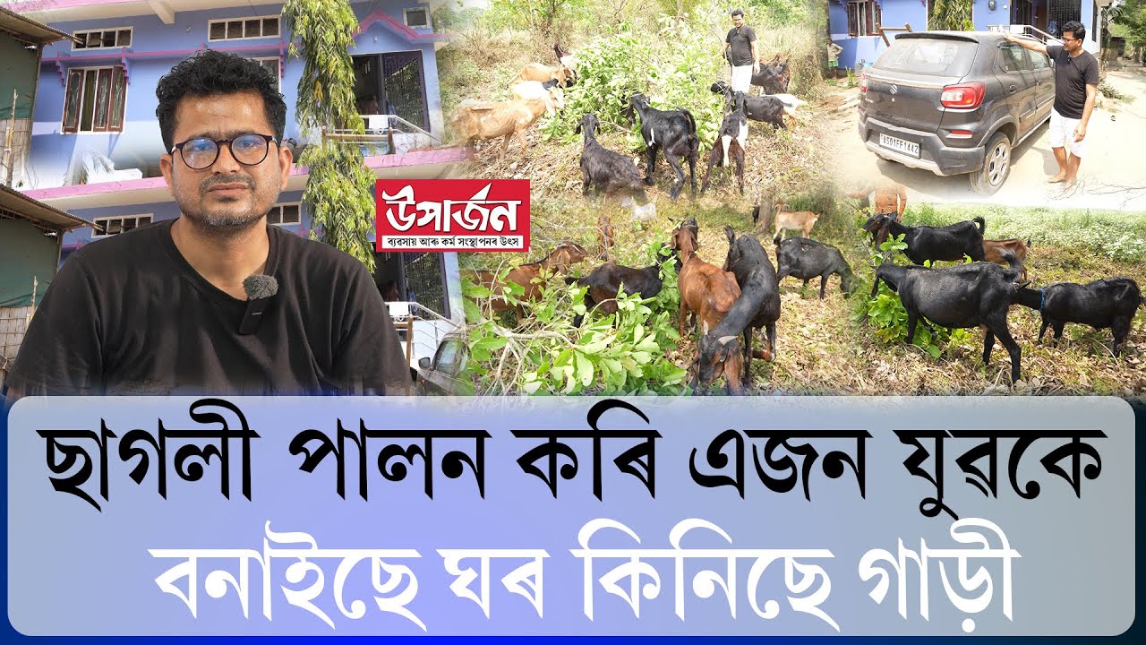 ছাগলী পালন কৰি এজন যুৱকে বনাইছে ঘৰ কিনিছে গাড়ী