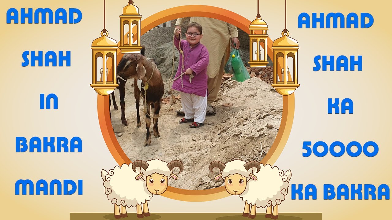 Ahmad Shah In Bakra Mandi | 50000 Ka Bakra | Bakra Mandi D.I.Khan