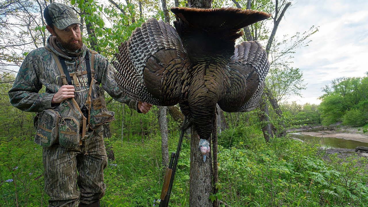 PUBLIC LAND GOBBLER comes in from 400 YARDS!!!  (Spring Turkey Hunting)