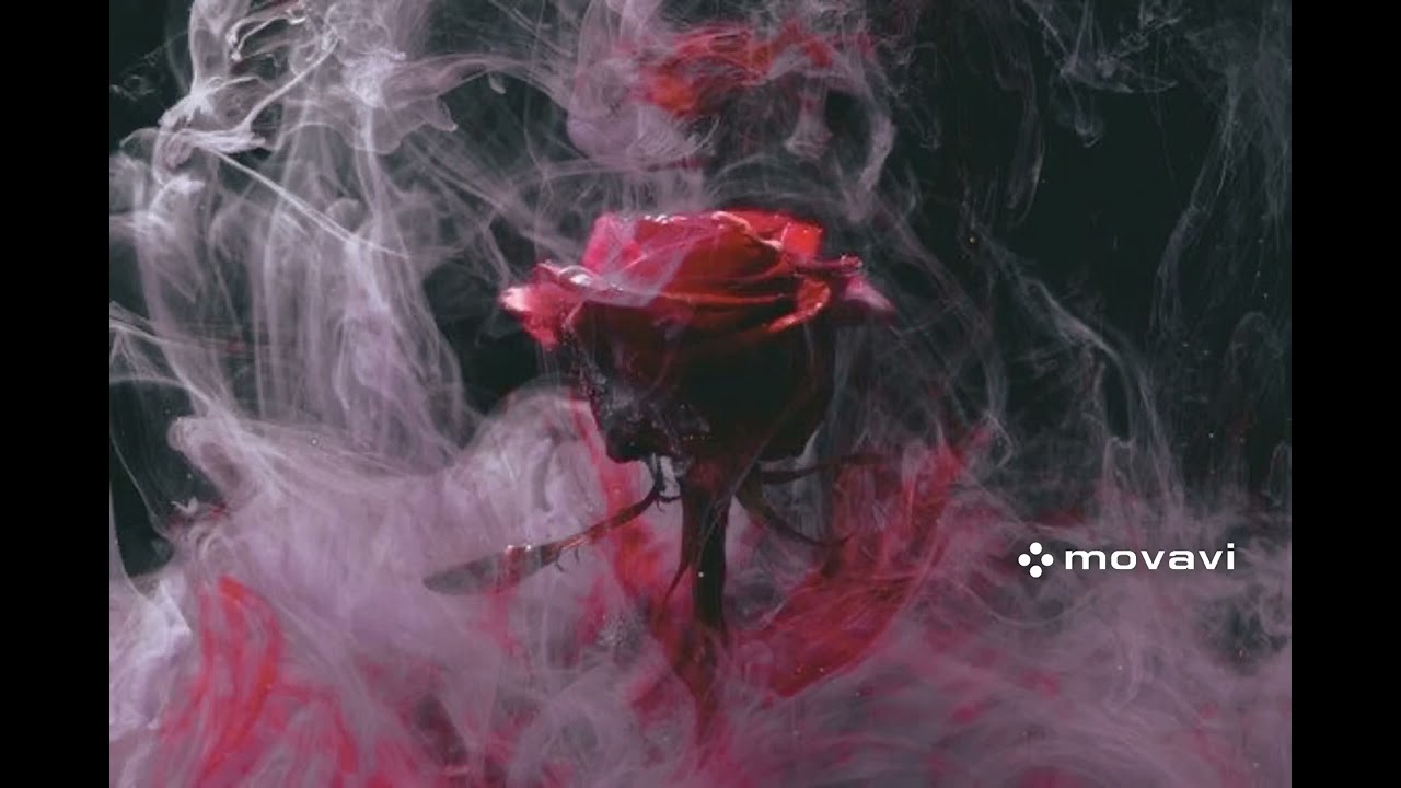 Imminence - Infectious