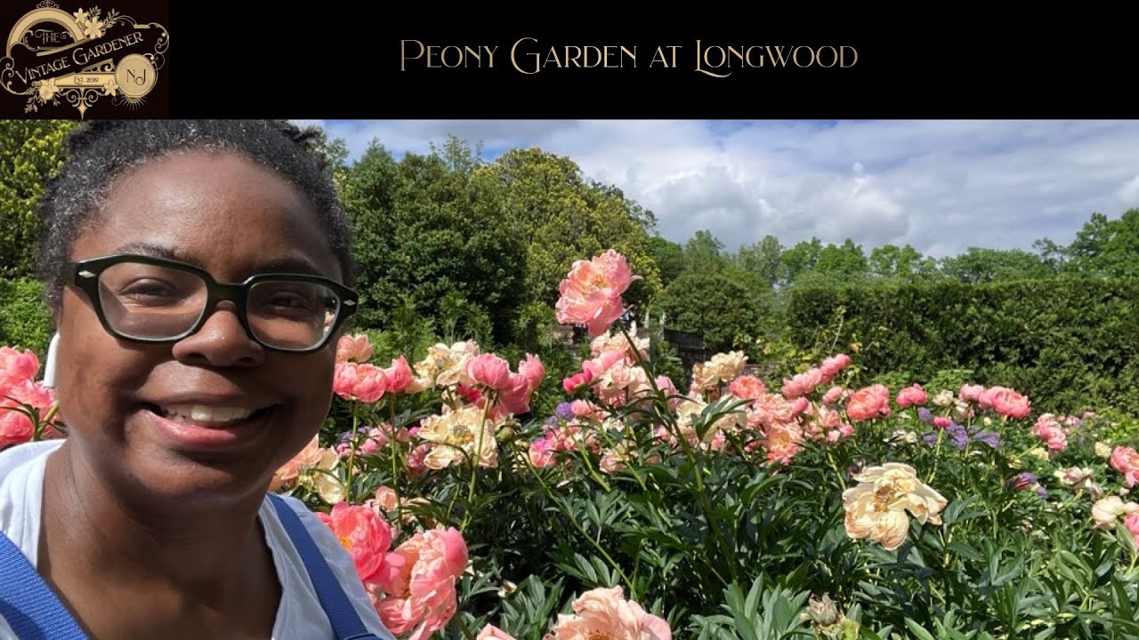Peony Garden at Longwood
