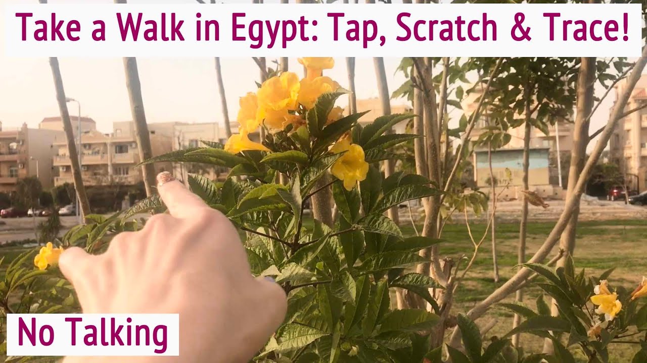 ASMR🌱🌼 * Tapping & Scratching Outdoors * Tracing! * Fast Tapping * No Talking * ASMRVilla
