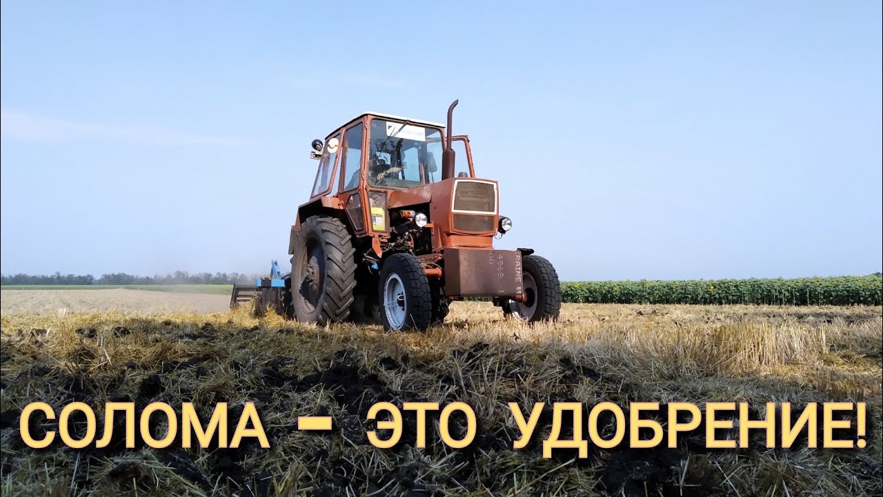 ЮМЗ-6. БДФ-2,1. ДИСКОВКА ПОСЛЕ УБОРКИ ОЗИМОЙ ПШЕНИЦЫ