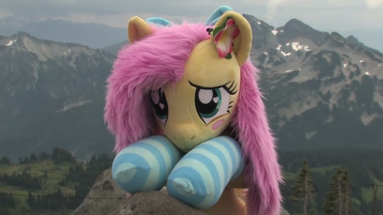 FlutterCon 2024 Hike on Mt Rainier