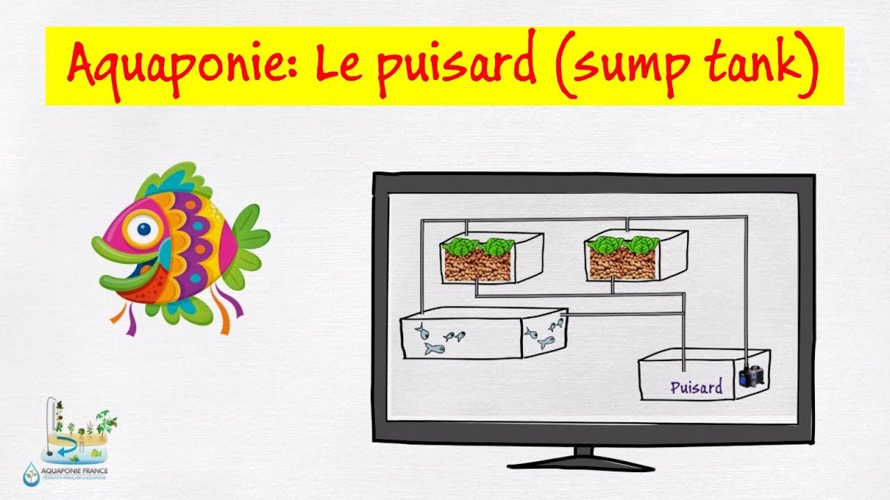 💦 Aquaponie: Le puisard (sump tank)