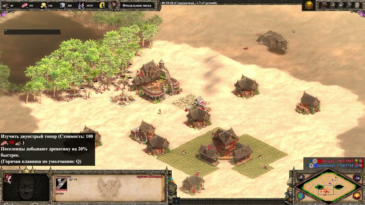 AGE OF EMPIRES 2