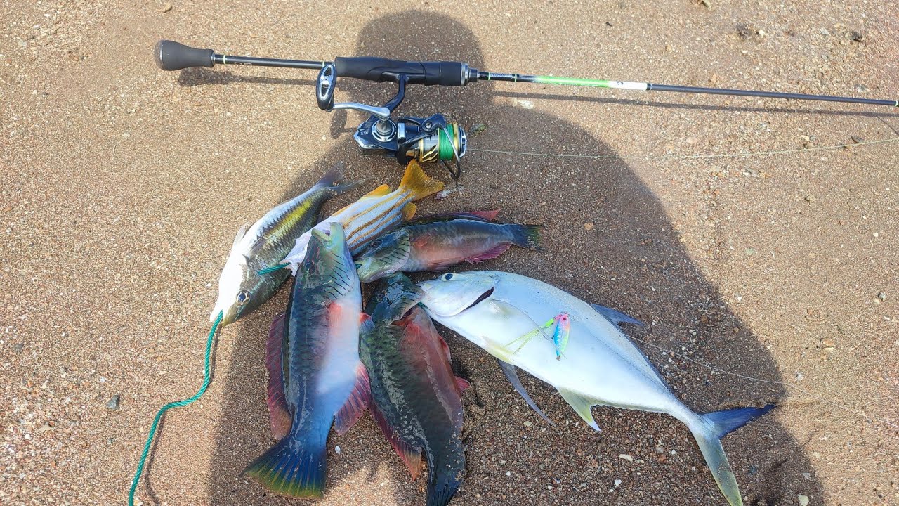 CASTING AKHIR TAHUN 2025 ❗❗ STRIKE IKAN IKAN MAMA SUKA. 