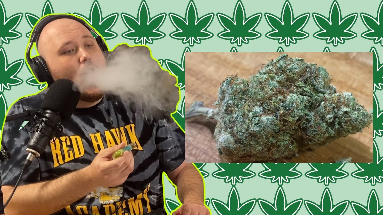 Forest Queen Review Hybrid-Indica Dominant