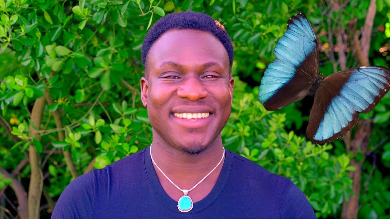 How to Heal Yourself Emotionally and Mentally