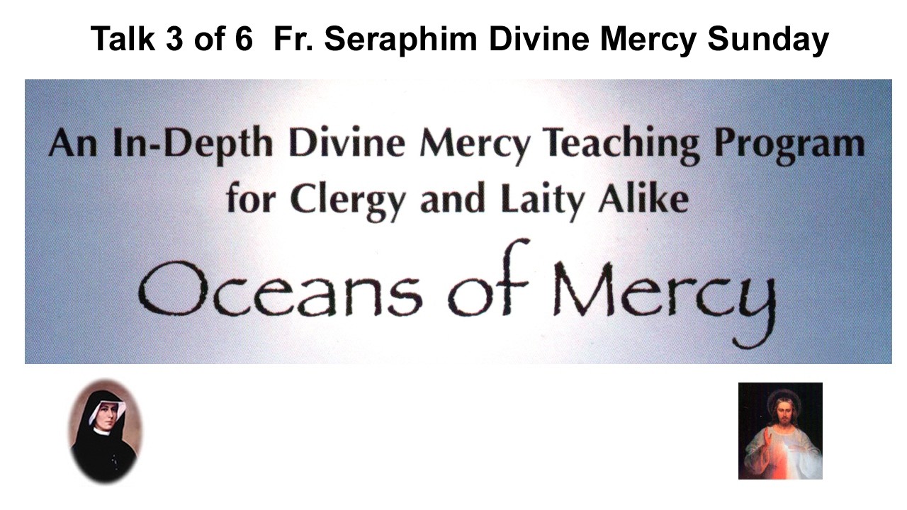 3  Father Seraphim Talk    Divine Mercy  Sunday