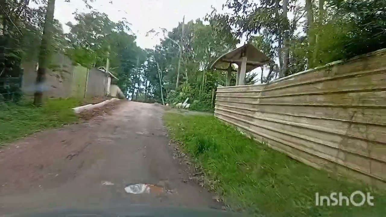 CHEIRO DE MATO DENTRO DA CIDADE