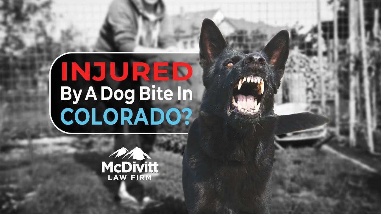 Injured By A Dog Bite in Colorado? | McDivitt Law Firm