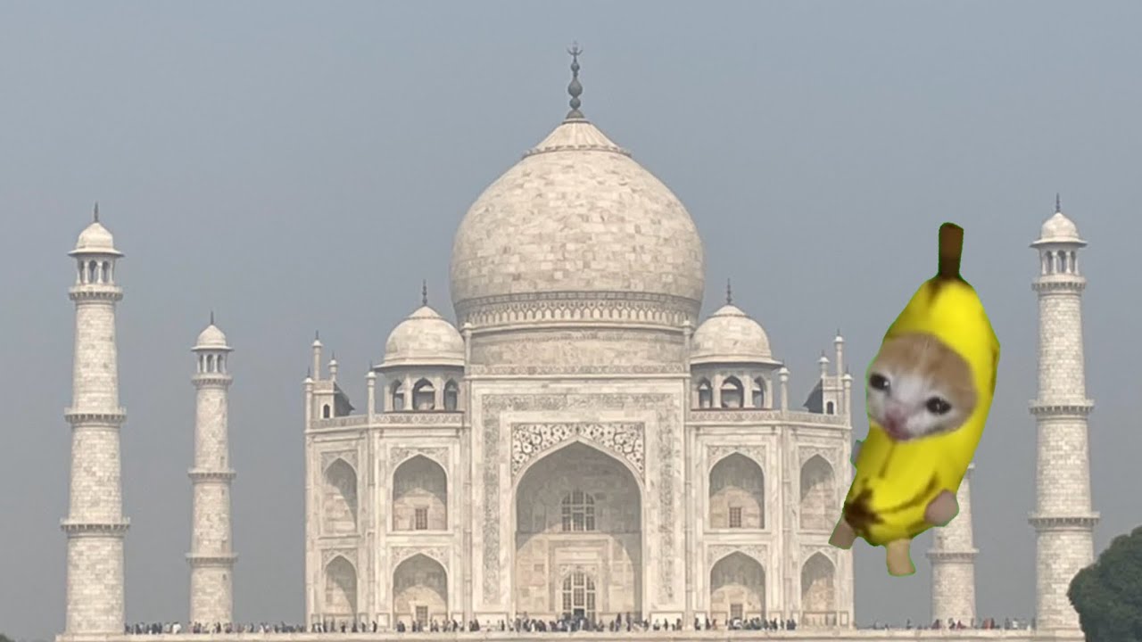 修学旅行でインドに行った話 #猫ミーム