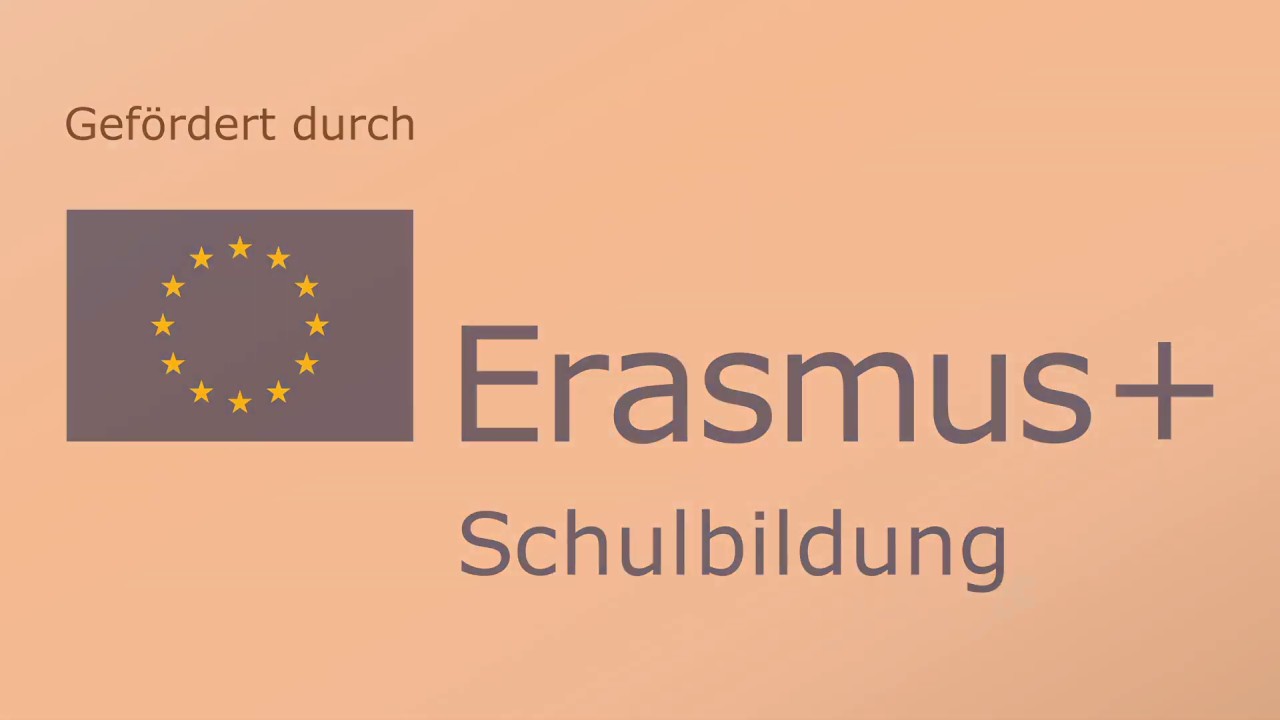 Meinungsfreiheit und Pressefreiheit erkl&auml;rt