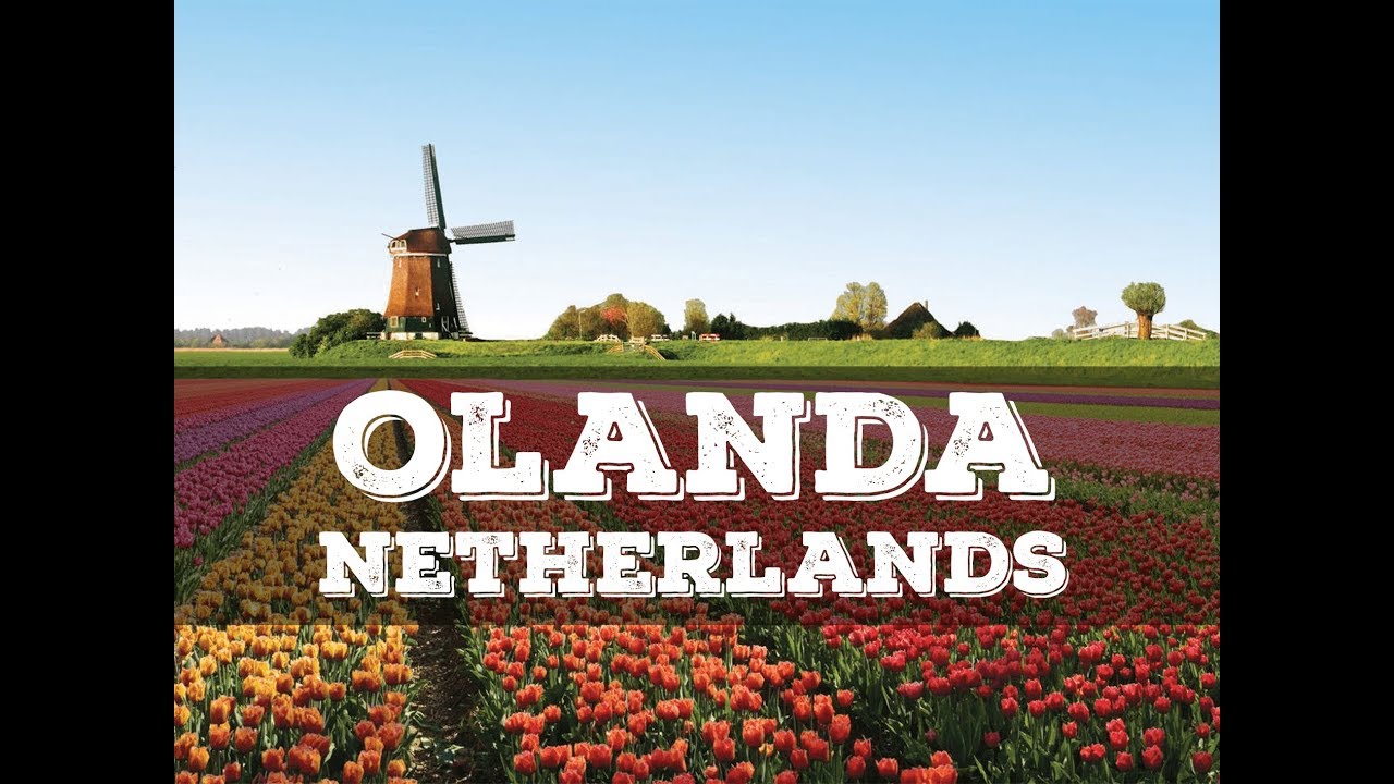 Top 10 cosa vedere in Olanda - Top 10 what to do in Netherlands