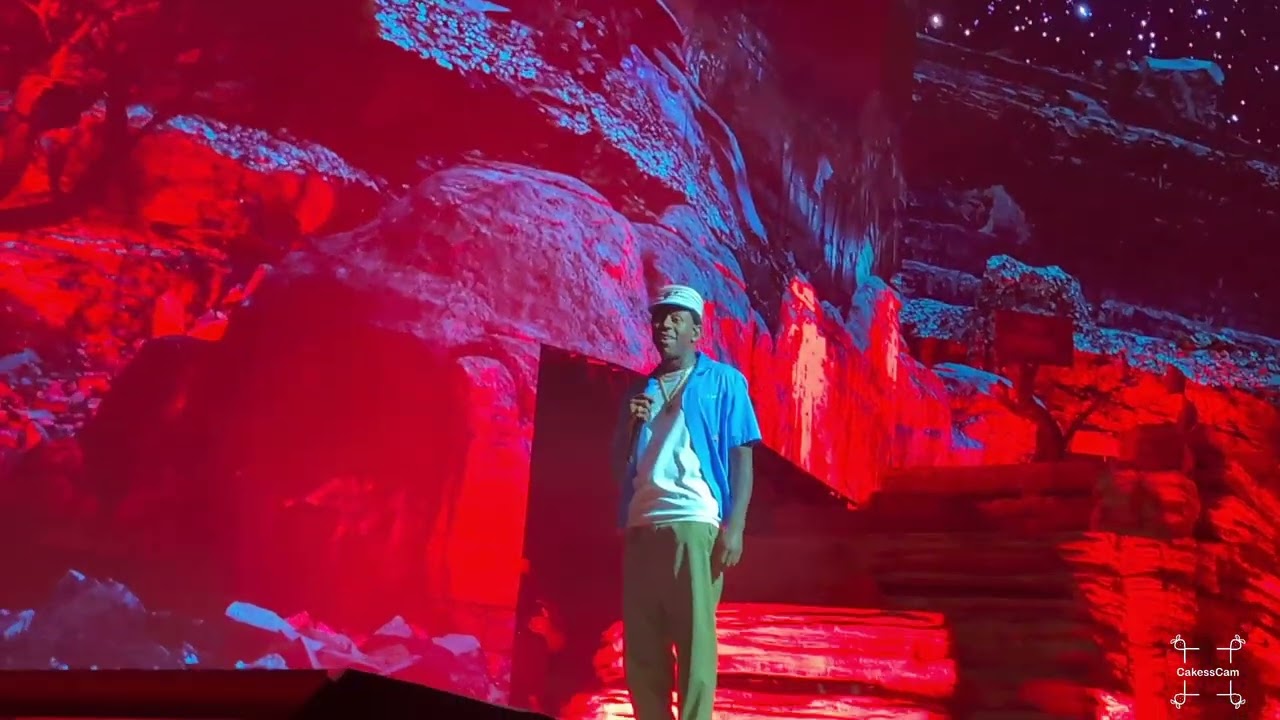 Tyler The Creator - She/ Tron Cat/ Yonkers Medley 