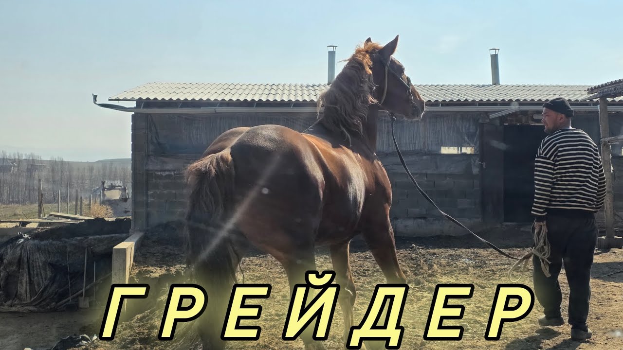 23 февраля 2026 г.