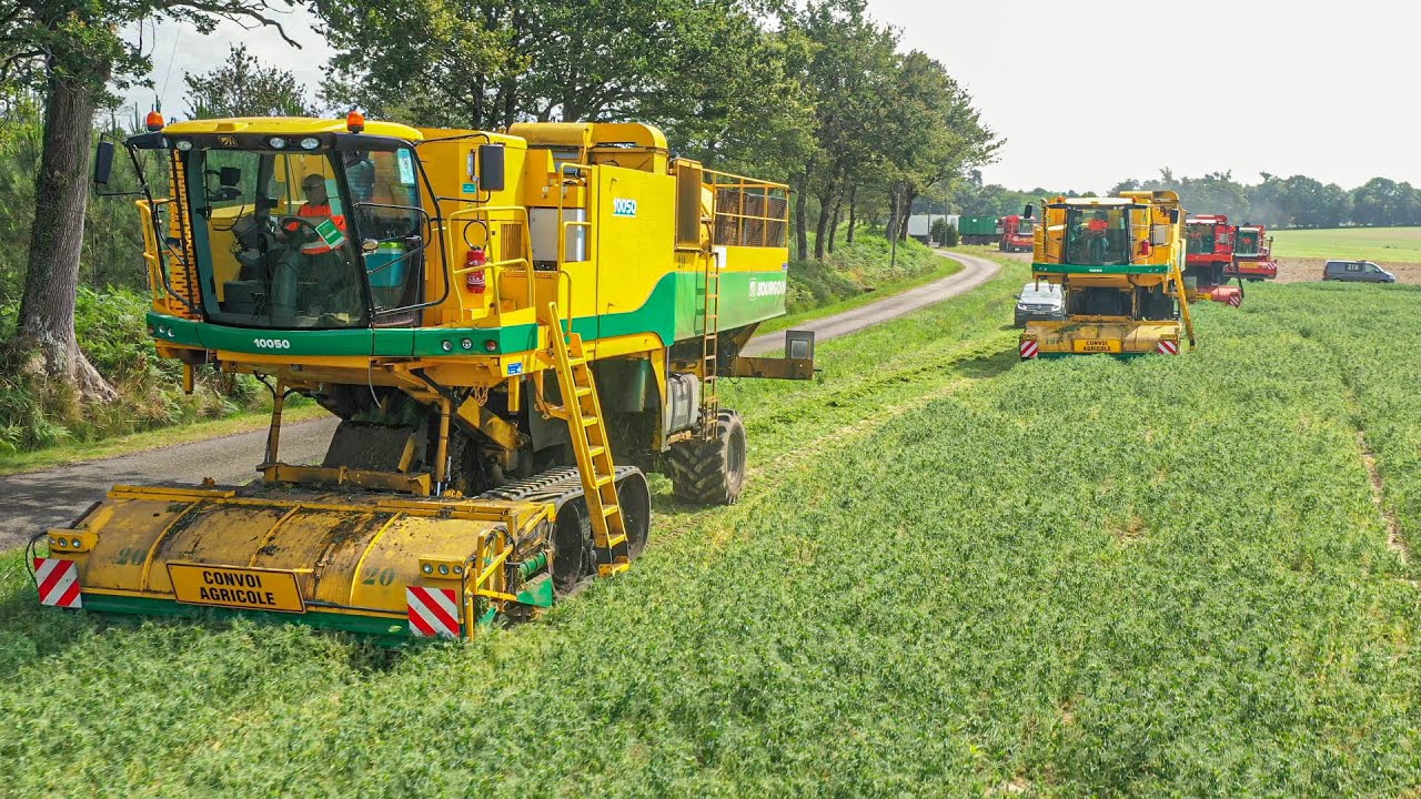 🇫🇷Récolte XXL de PETITS POIS avec 5 ARRACHEUSES dans le MEME CHAMPS / AGRI SUD / Sa HERI