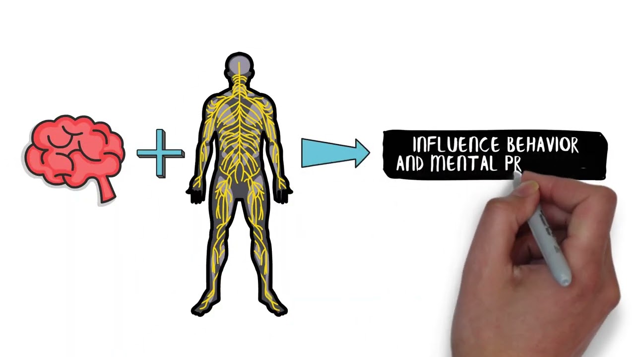 PSY-303 Module 3: Behavioral Neuroscience