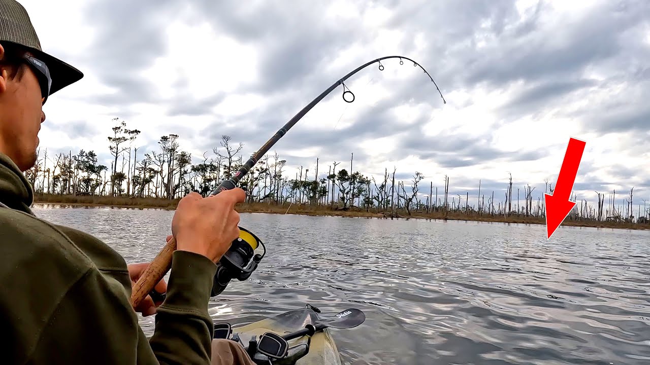 Found A HUGE School (Saltwater Inshore Kayak Fishing)