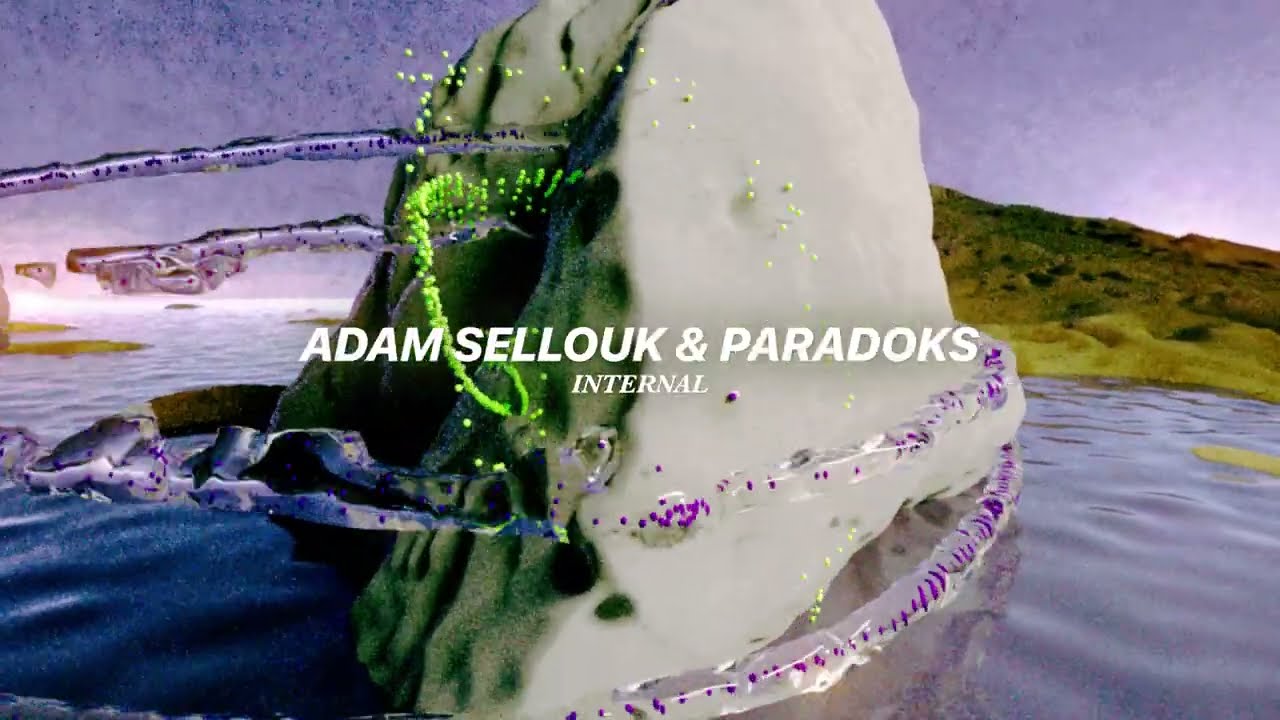 Adam Sellouk & Paradoks - Internal (Official Audio)