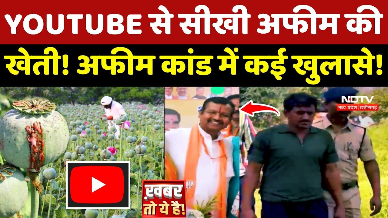 Durg Opium Case: YOUTUBE से सीखी अफीम की खेती! अफीम कांड में कई खुलासे! Chhattisgarh | Top News