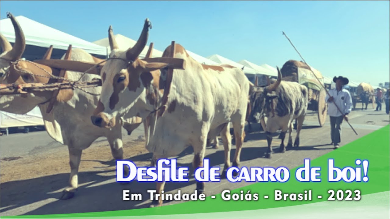 ✅DESFILE DE CARROS DE BOI NA ROMARIA EM TRINDADE - GO - Uma Celebração Cultural e Religiosa - 2023