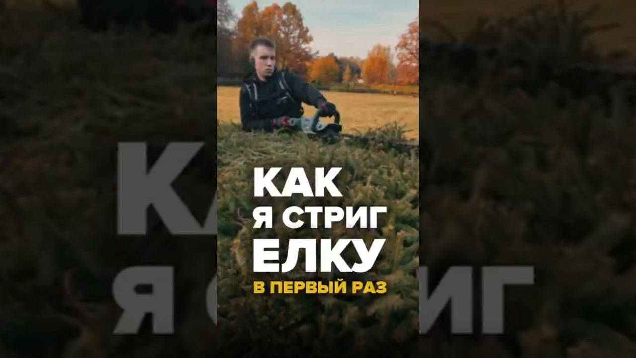 ✂️ Тестируем аккумуляторные ножницы CAIMAN ENO HTXi