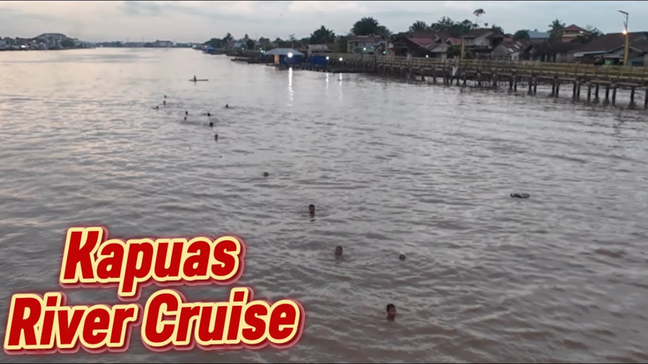 Tergaman Tengok Budak² Berenang Di Sungai Kapuas Yang Luas Semasa River Cruise Kami Melintas