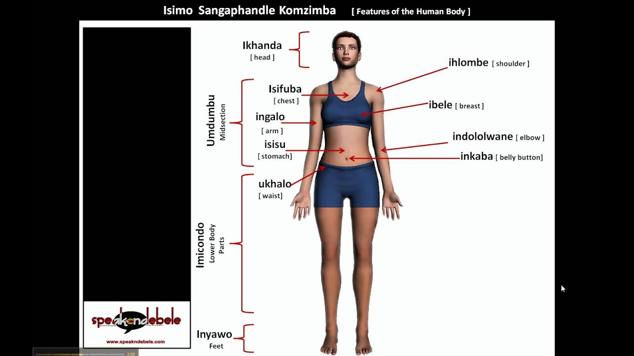 Learn Ndebele / Zulu: UMZIMBA : THE BODY - Mina Lomzimba Wami - Part 2