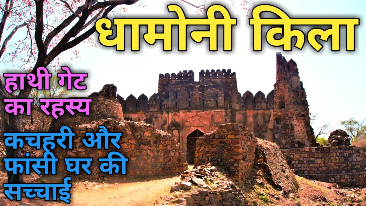 बाप रे इतना बड़ा किला 😇 कभी नहीं देखा || तीन ओर से खाई से घिरा || धामोनी किला सागर मध्य प्रदेश