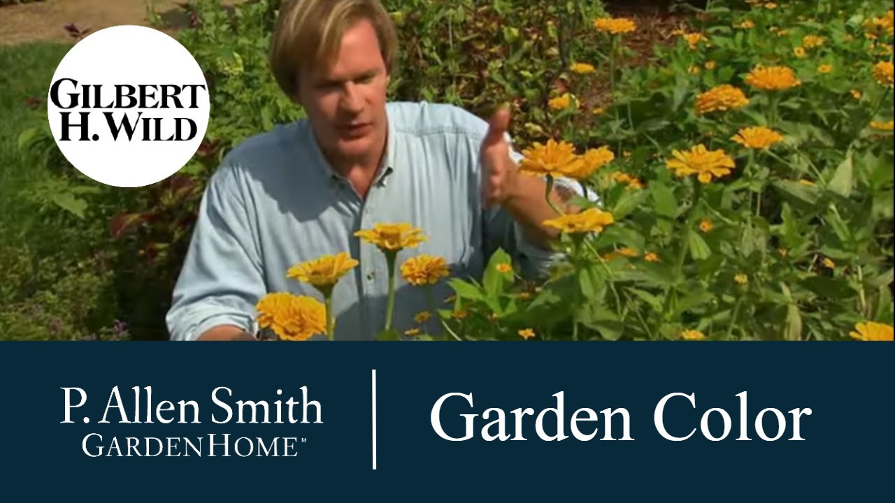 Principles of Design: Color | Garden Home (908)