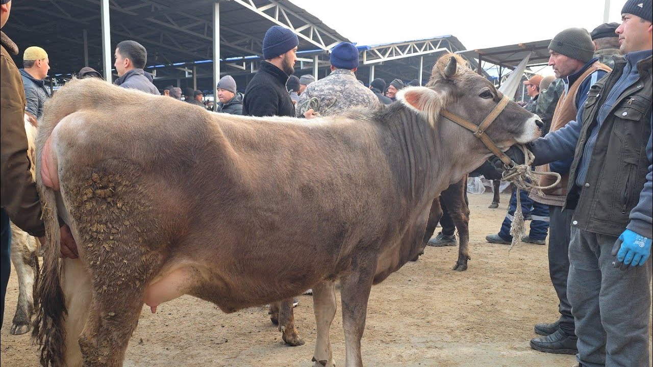 Qõrğontepa Mol Bozori Shvedlar Makoni 