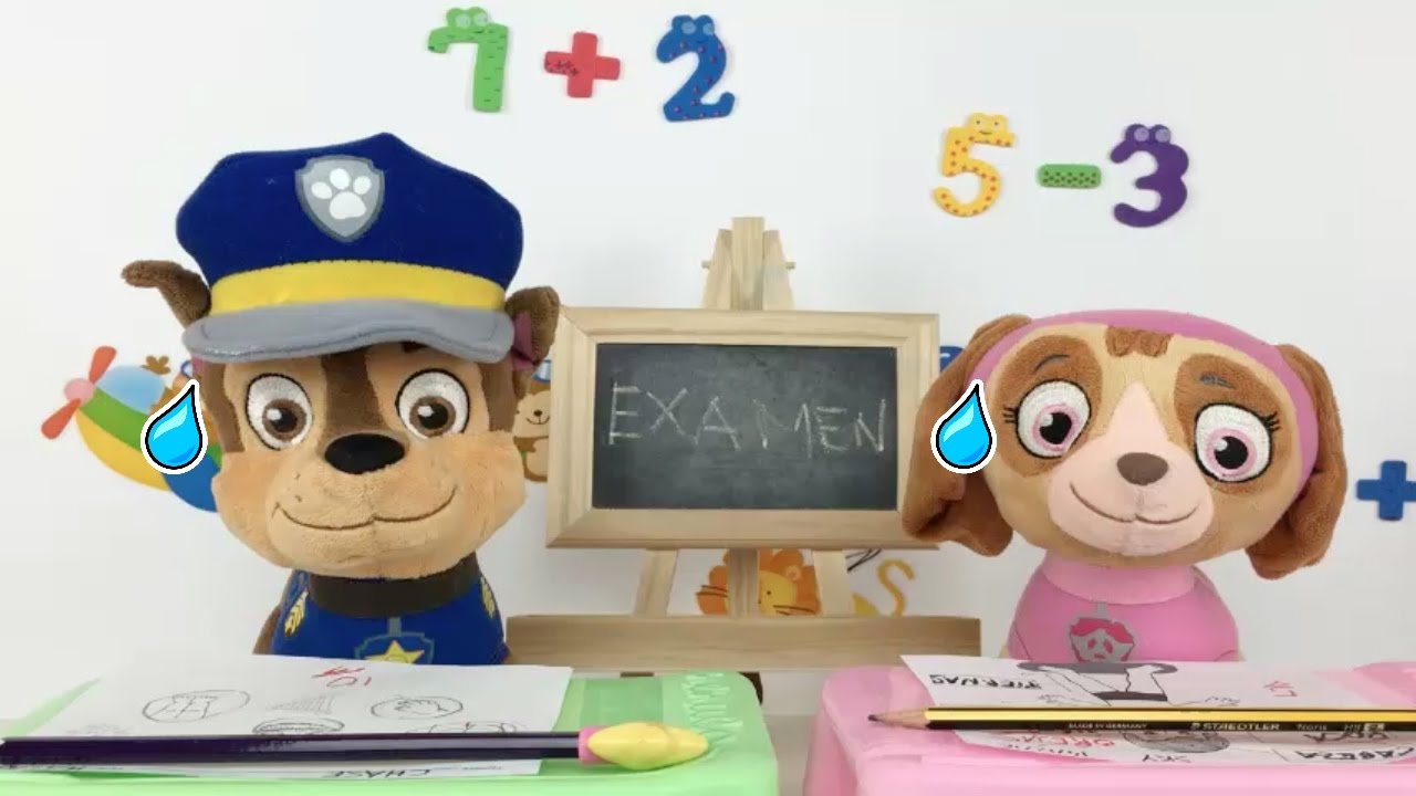 PATRULLA CANINA ESPAÑOL EXAMEN SORPRESA EN EL COLE O ESCUELA/Videos patrulla cachorros cap 66