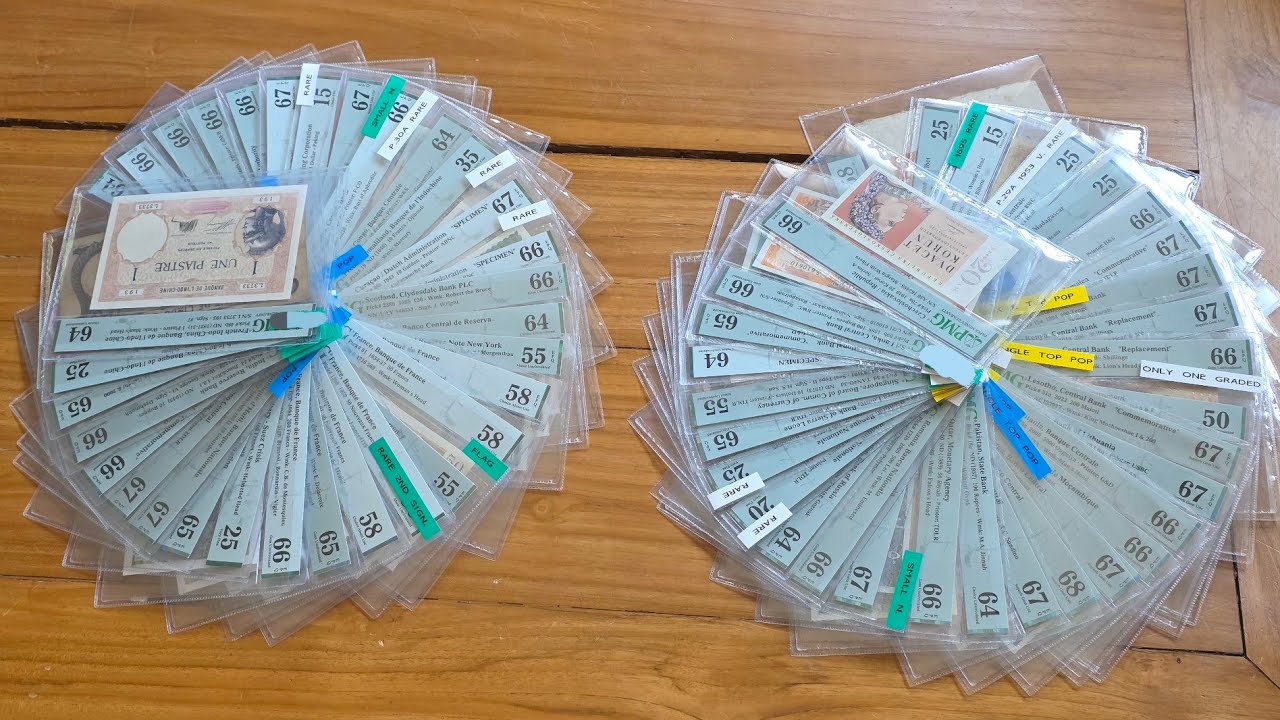 My PMG World Banknotes ✨️