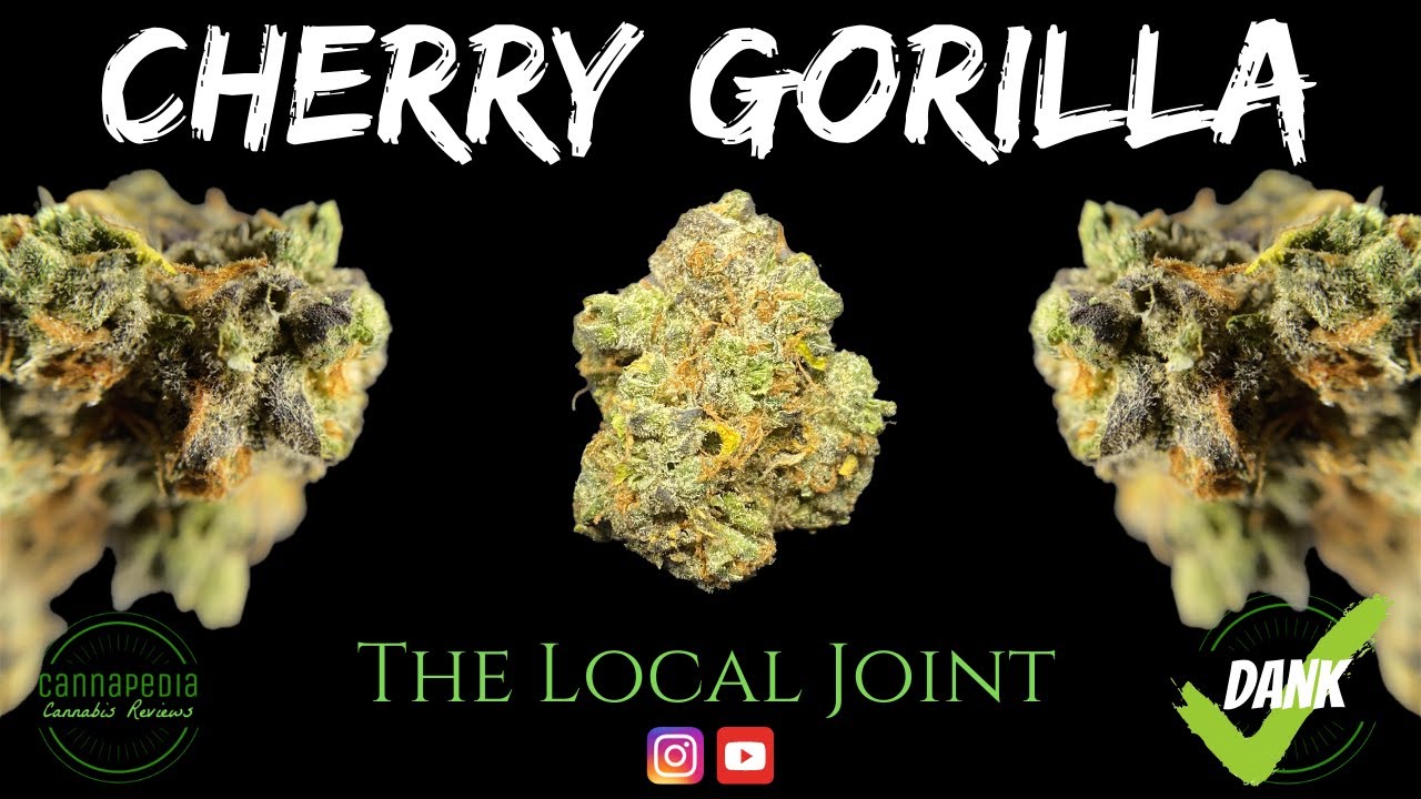 Cherry Gorilla Strain Review - The Local Joint - Cannapedia