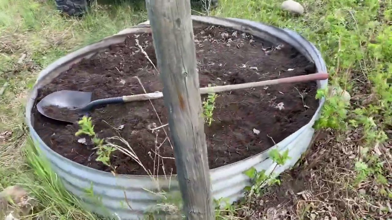 Need help with some gardening projects