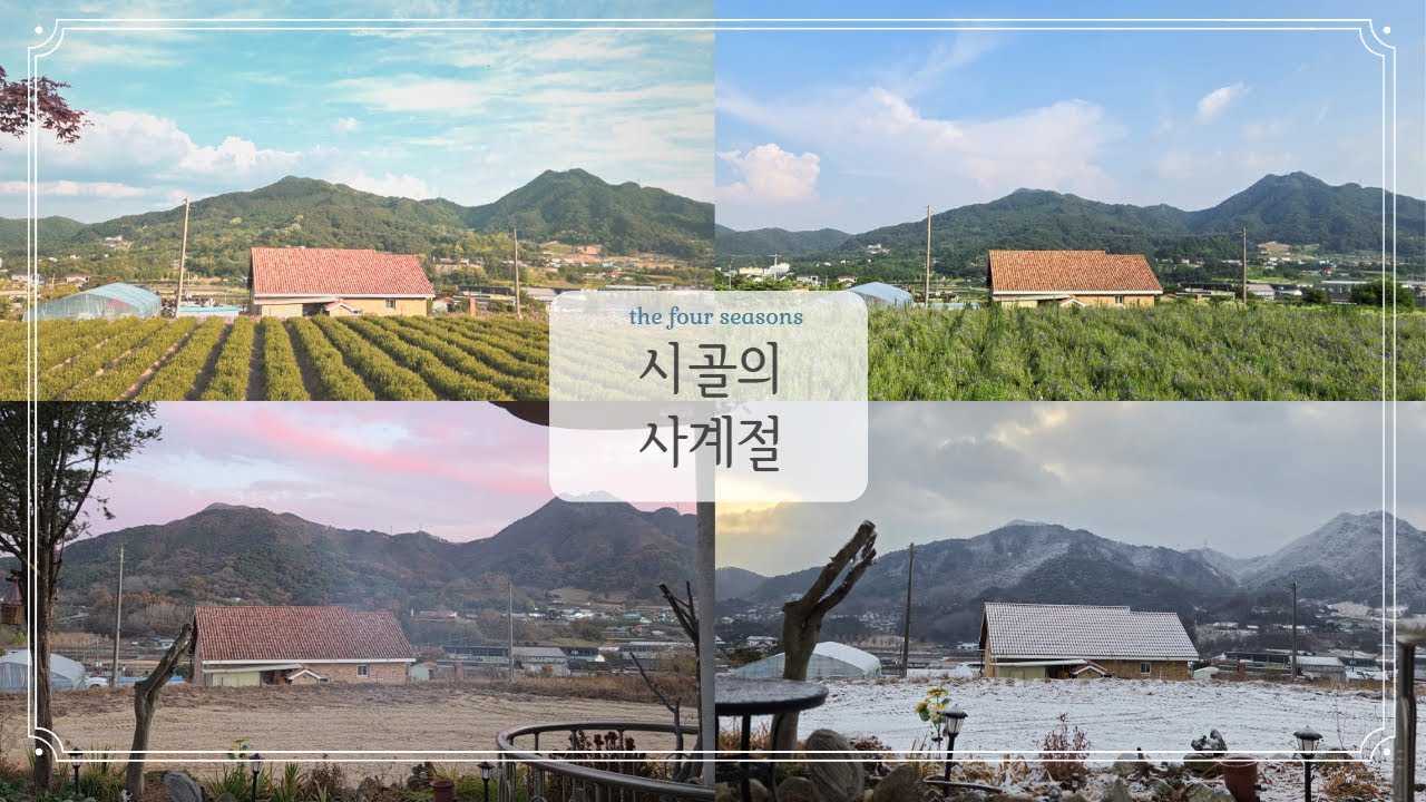 시골에서의 사계절 #시골라이프 #일상브이로그 #사계절#감성브이로그#1년동안#CountrysideLife #KoreanFood #CountryVibes