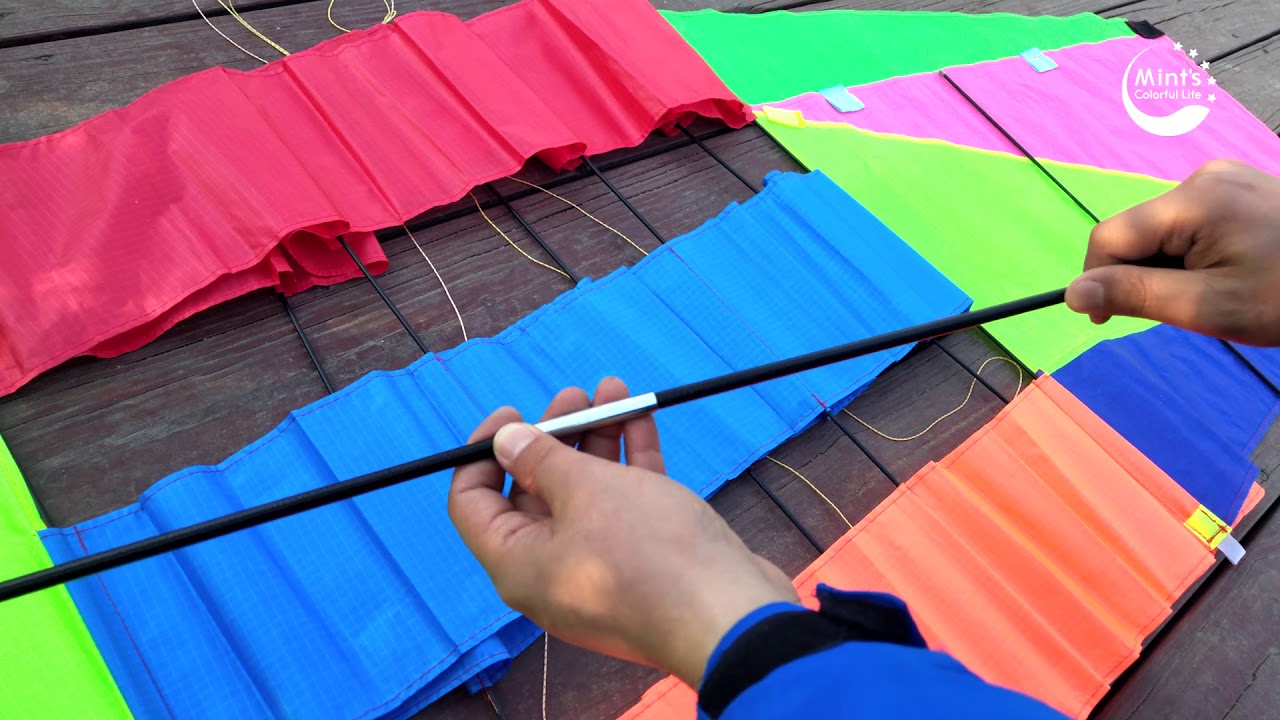 Mint's Colorful Life Radar box kite with two super long tail!!!