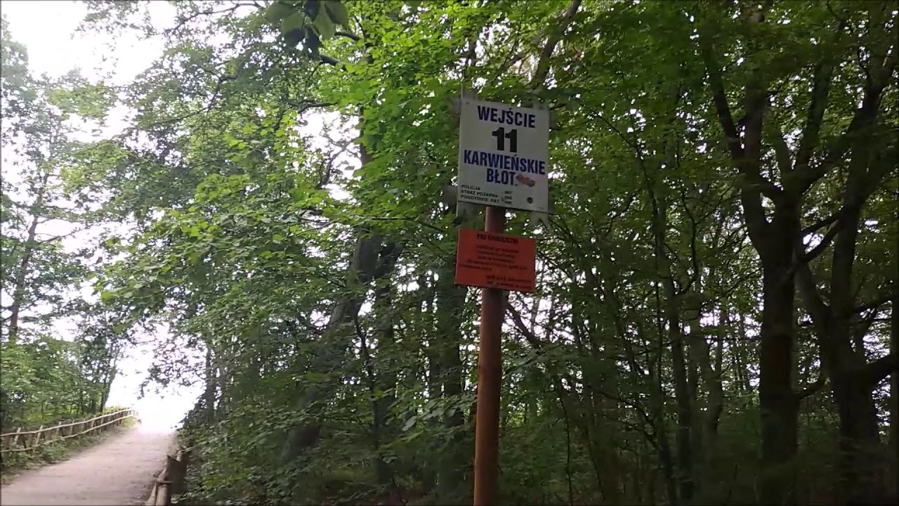 PODRÓŻE KAMPEREM #7 - KARWIEŃSKIE BŁOTA czyli dziki nocleg