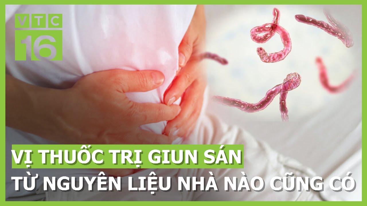 Vị thuốc trị giun sán từ nguyên liệu nhà nào cũng có | VTC16